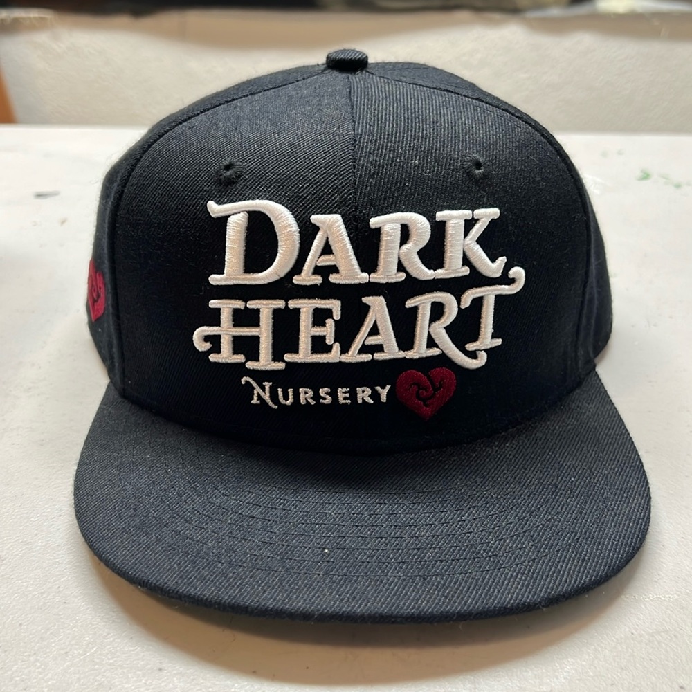 Dark Heart Nursery Snapback